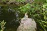 Badende am Teich