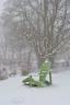 im Winter